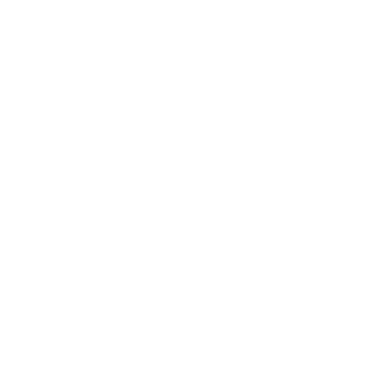 VSME Medals